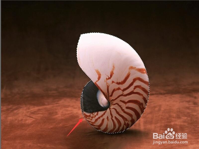 Photoshop 如何使用快速选择工具抠图