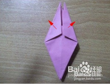 萌哒哒的小青蛙