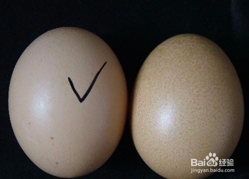 如何认知和辨别鸡蛋