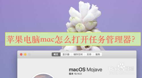 苹果电脑mac怎么打开任务管理器？