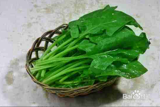 女人一生都离不开的十种食物