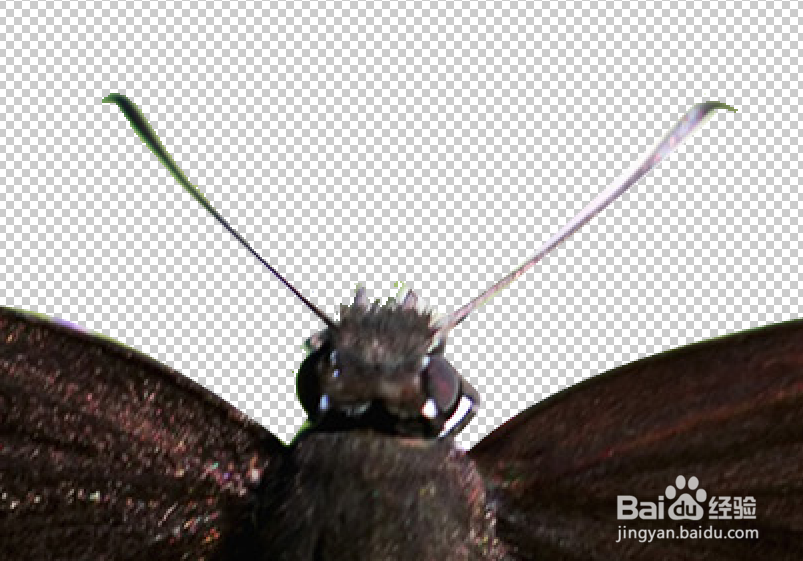 Photoshop——去边处理