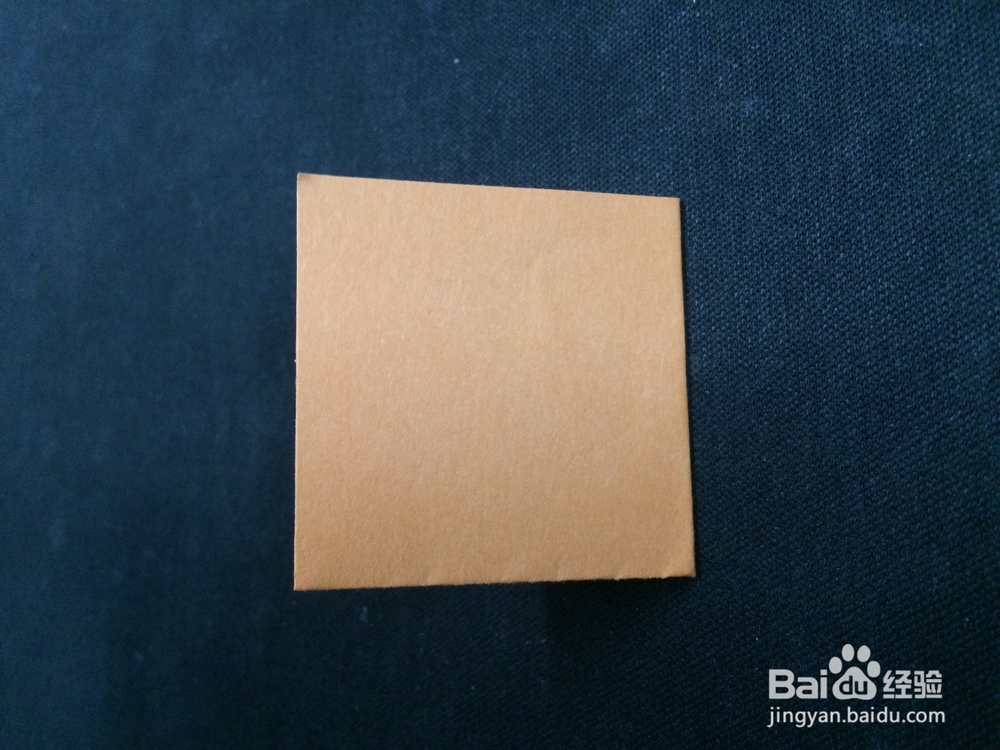 手工折纸：热带鱼折纸