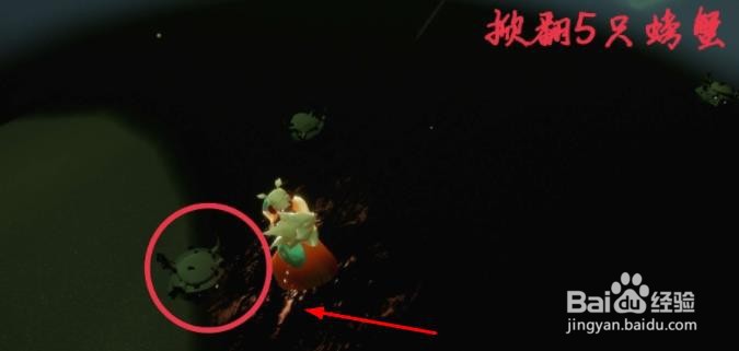 光遇1.14每日任务攻略