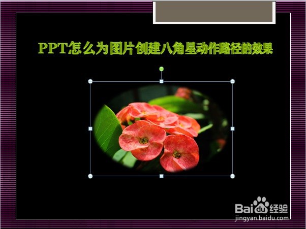 PPT怎么为图片创建八角星动作路径的效果