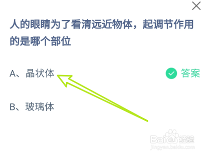 蚂蚁庄园11月27日人眼睛起调节作用的是哪个部位