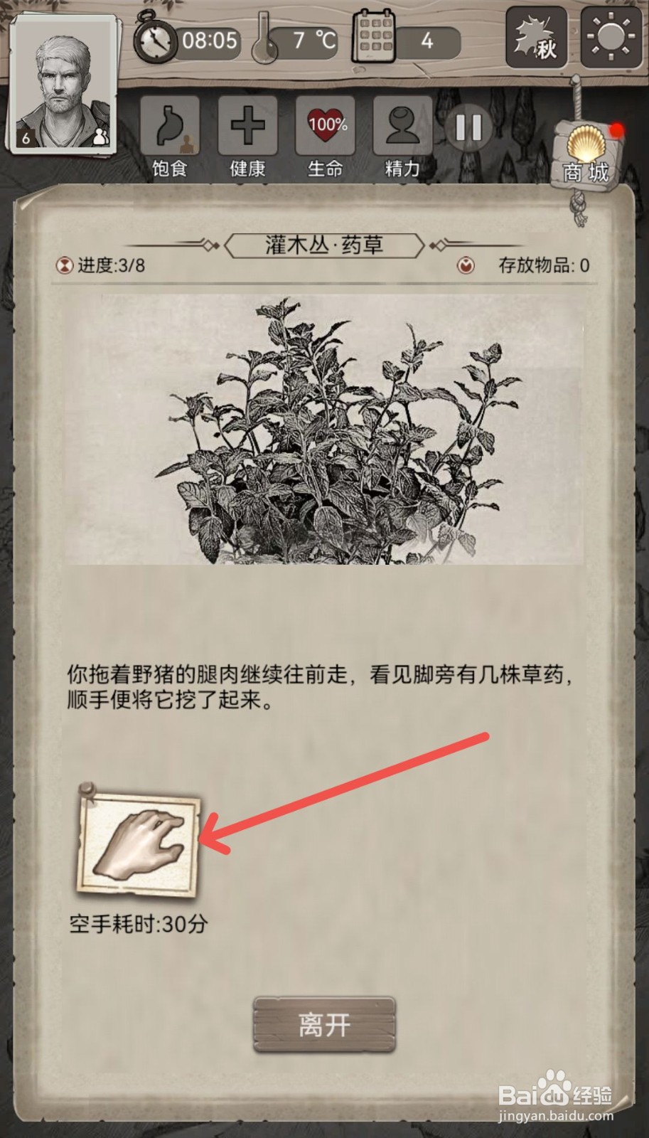 荒野日记游戏怎么采集灌木丛里的药草