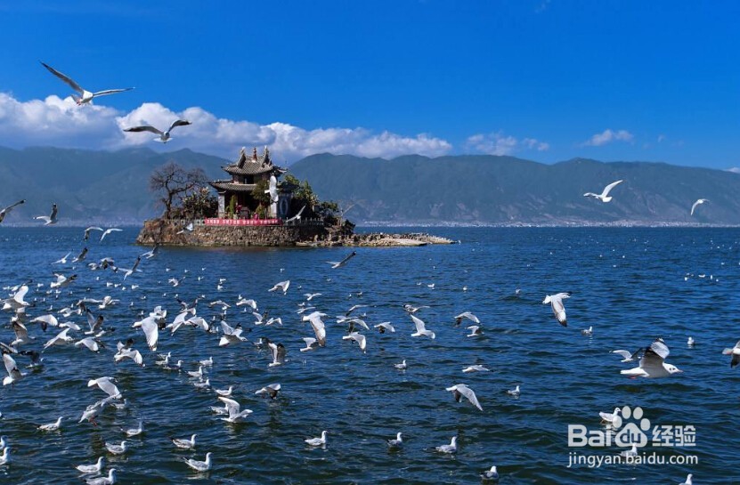 关于云南大理旅游攻略的几点建议