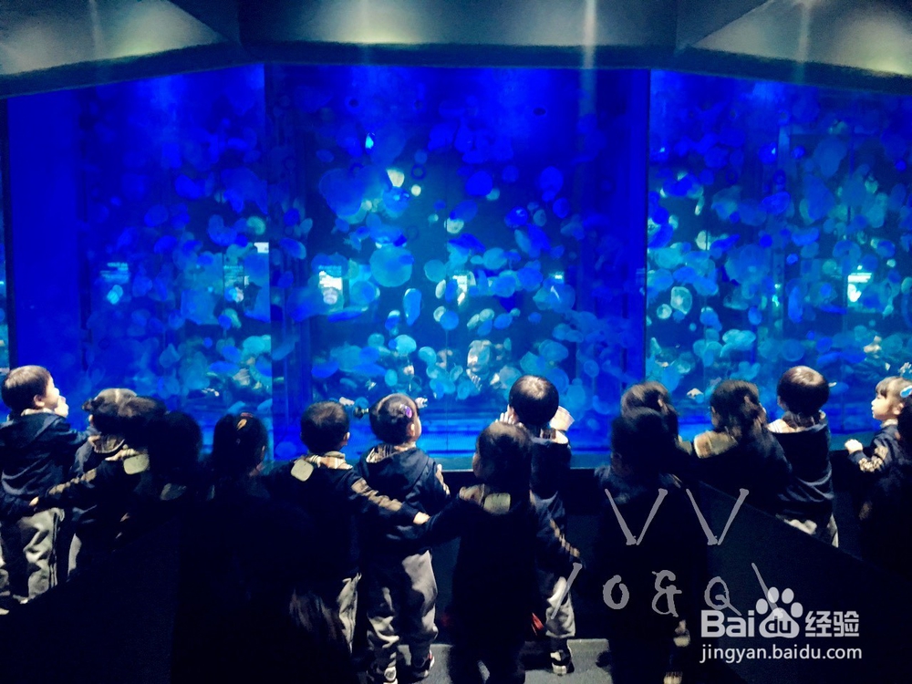 周末京畿首尔景点一日游(附首尔一日券)