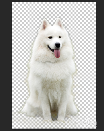 下方"输出"里的"输出到"点击选区这个下拉按钮调整画笔大小,硬度调大