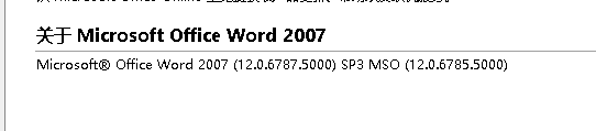 怎么查看word的版本号