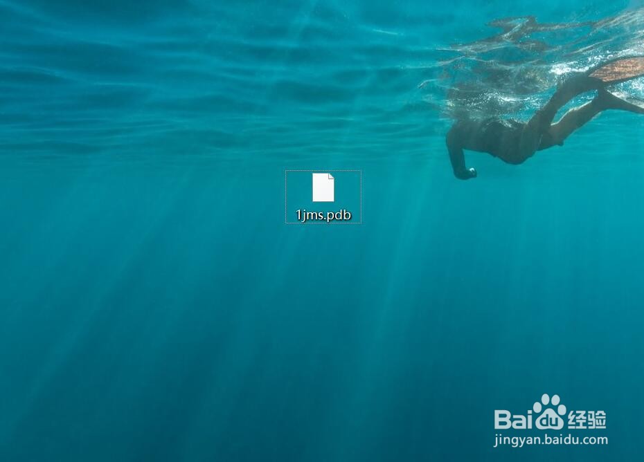 如何查看立体蛋白结构图？