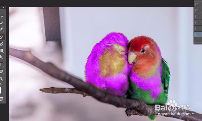 【PS】如何替换颜色？