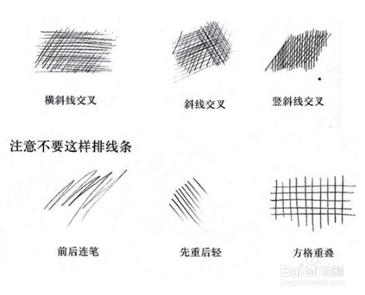 新手学画画应该从何学起