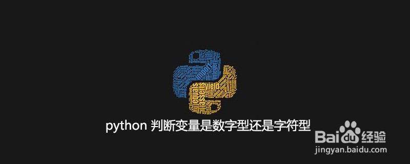 Python确定变量是数字还是字符