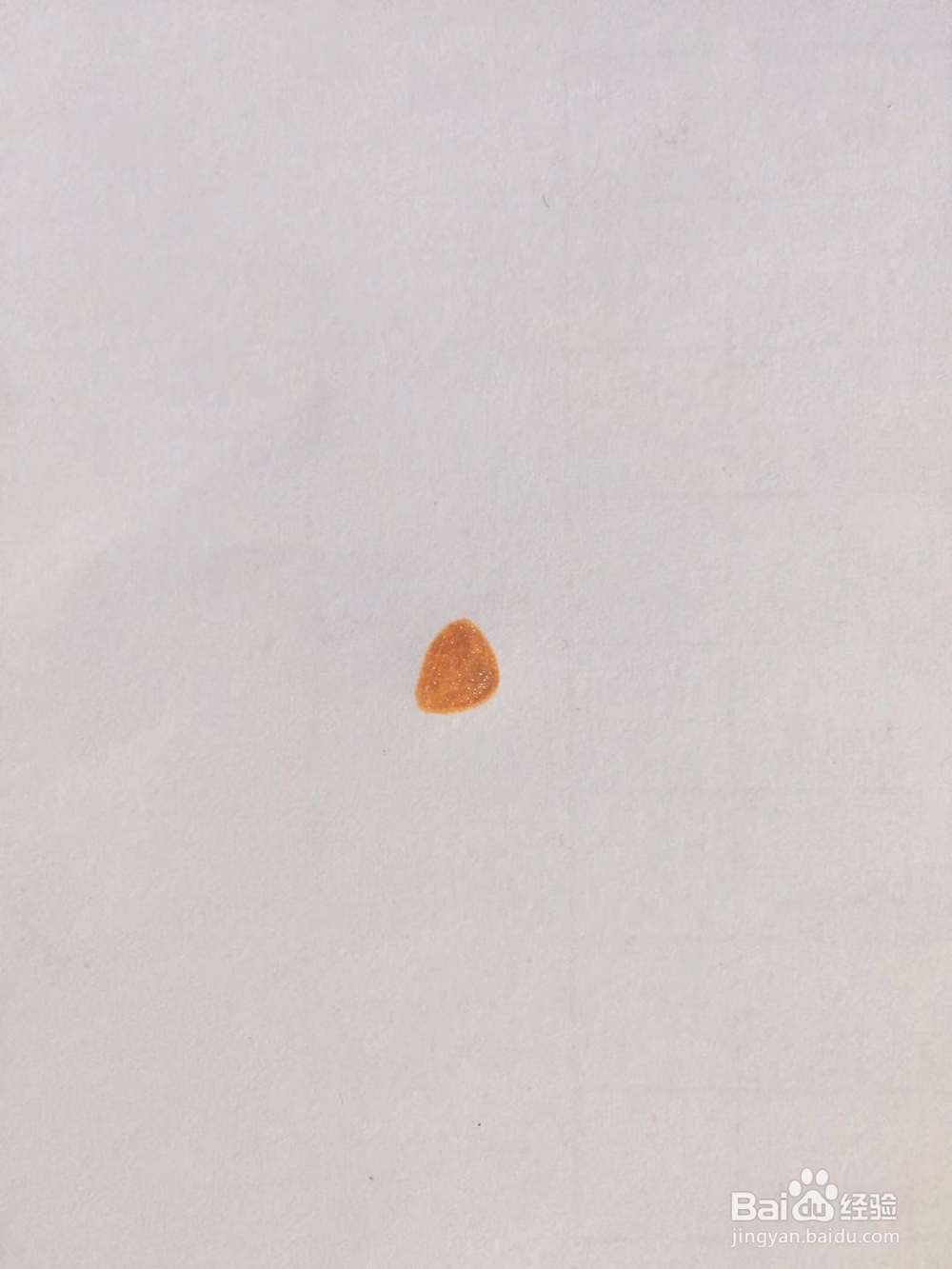 茉莉手绘之鱼的休憩