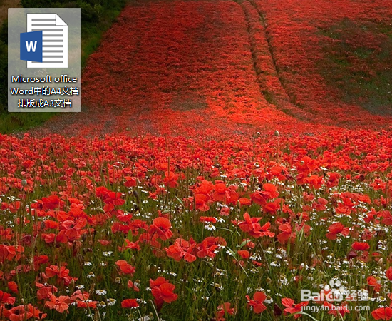 Microsoft office Word中的A4文档排版成A3文档