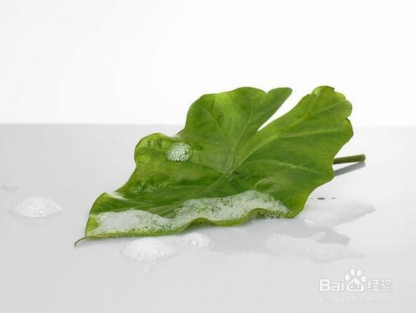 平时应该怎么养肝
