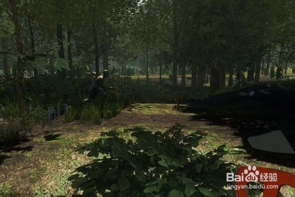 迷失森林(The Forest)心得技巧