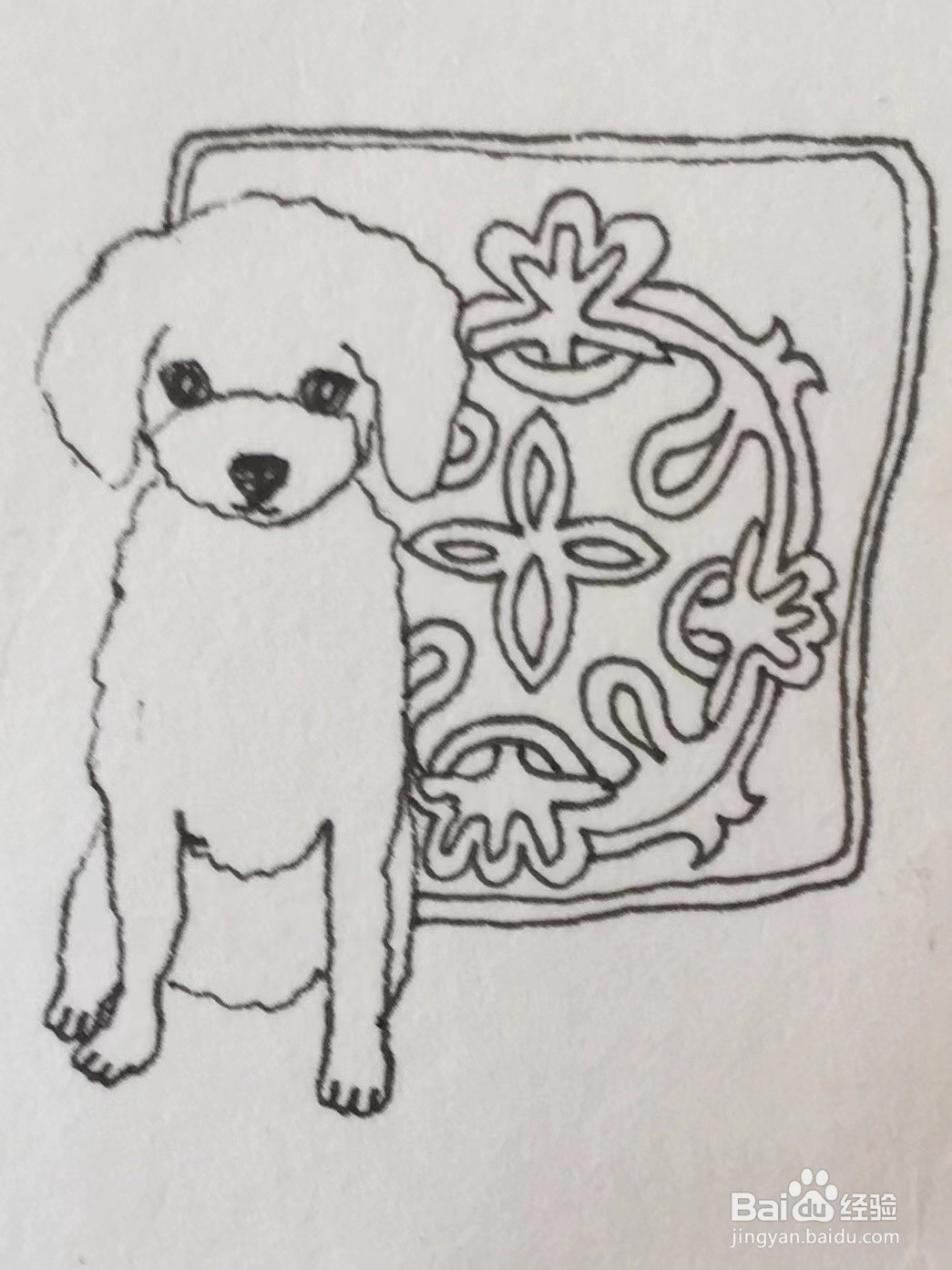 彩铅画教程之沙发上的泰迪犬