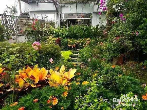 3种“致病花”，聪明人都搬到屋外了！