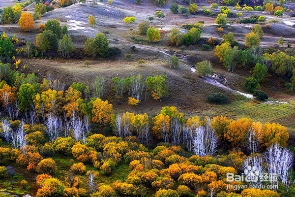 经济信息资源开发与利用：[32]复习总结三十二