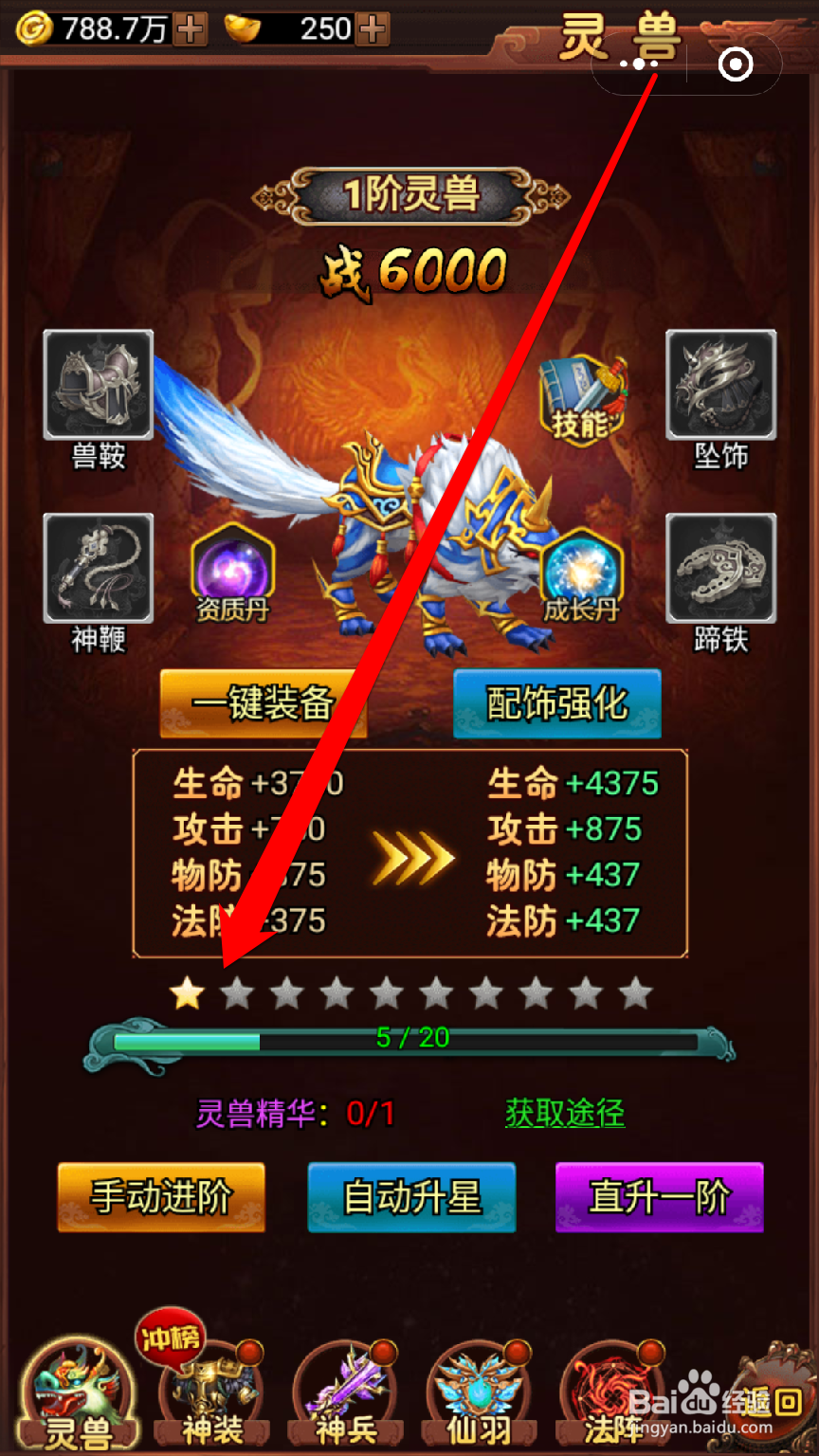 怎样在神游纪给幻兽加星