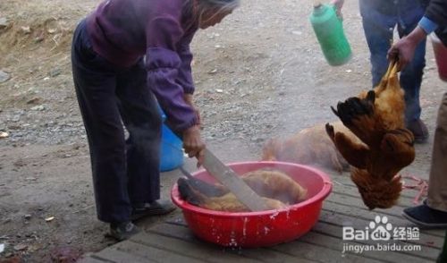 怎样杀鸡比较简单