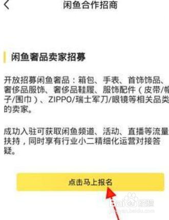 闲鱼报名闲鱼招商活动方法
