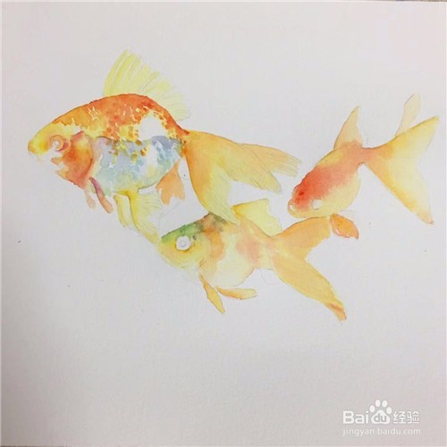 简笔画：金鱼的画法
