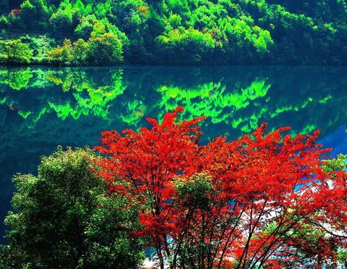 【带你玩】10月九寨沟旅游攻略