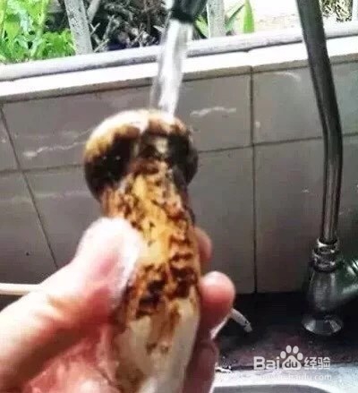怎样清洗松茸