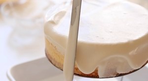 双层芝士蛋糕的做法