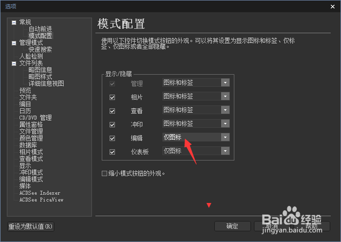 ACDSee Photo 2019怎么设置编辑为图标和标签