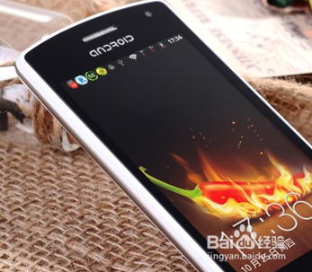 红辣椒和小辣椒哪个好