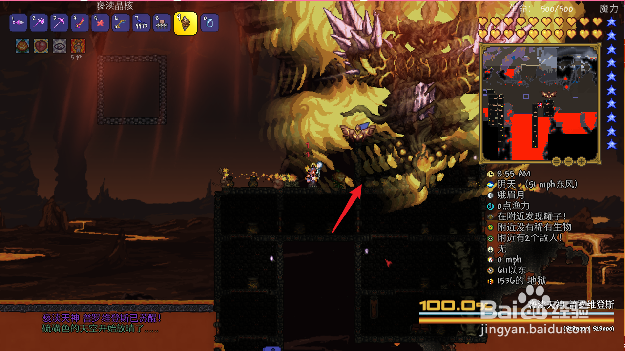 泰拉瑞亚极乐之庇护怎么得