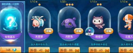 天天炫斗高阶宠物玩法技巧详解