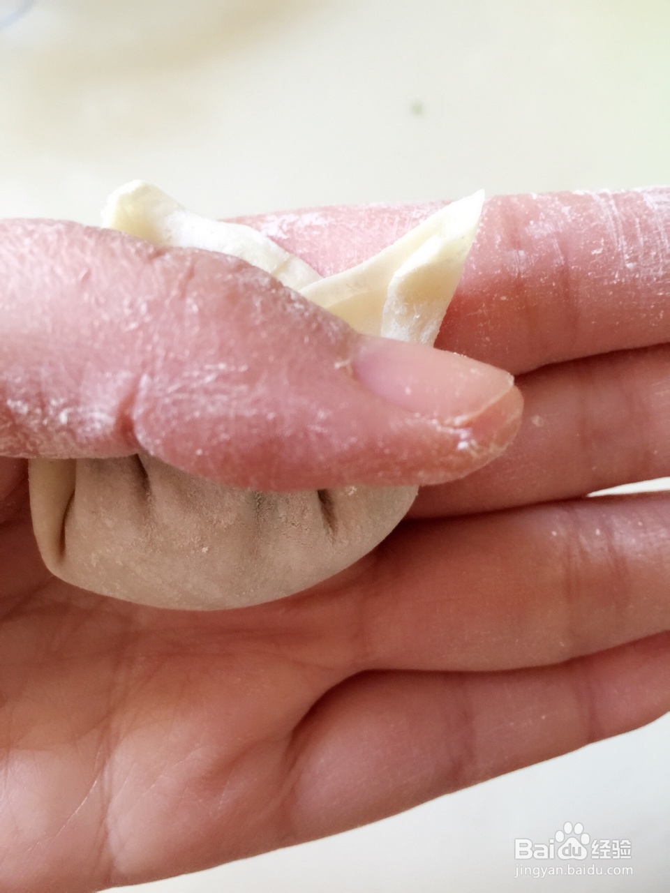 宝宝也爱吃的牛肉芹菜虾皮馄饨