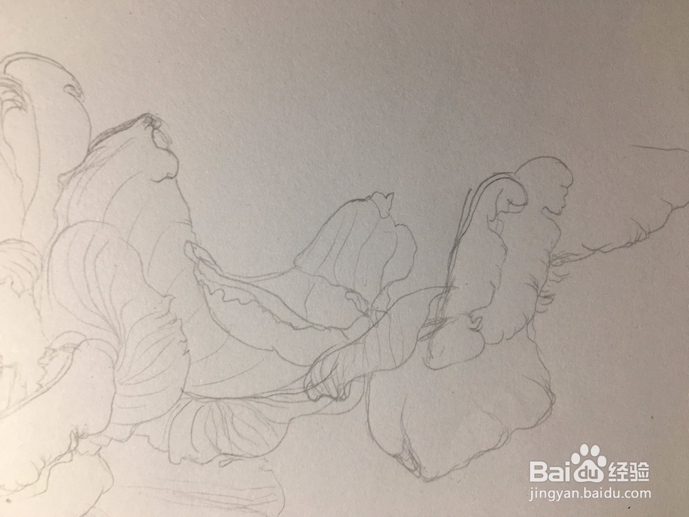 月季花的画法 月季简笔画 三朵月季的线描画教程