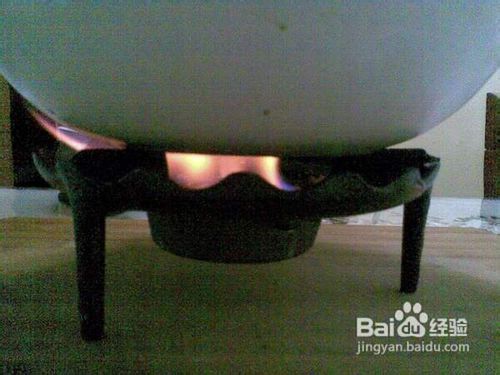 西瓜豆鼓的加工技术