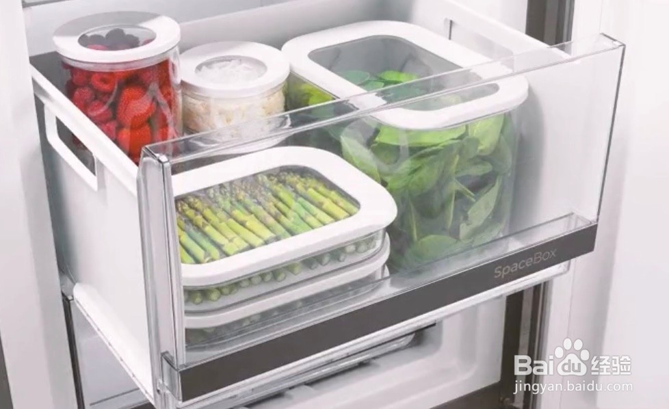 鲍鱼买回家怎么放置才不会死掉