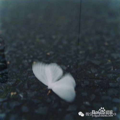 手机摄影后期应用：[25]vsco山寨日系淡彩