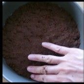 让芝士蛋糕更上一层楼—印花巧克力Cheese cake