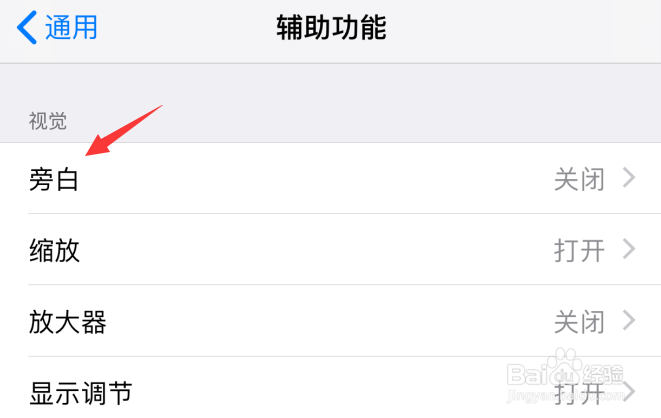 苹果iPhone手机怎样关闭朗读检测到的文本？