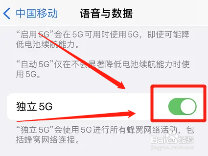 iPhone13如何开启独立5G功能