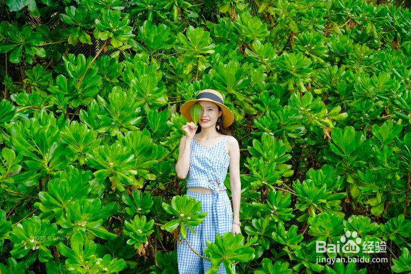 去三亚追寻最热烈的夏天2