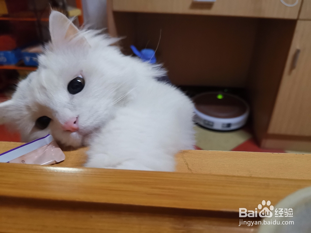 忍不住流口水的跳水鱼