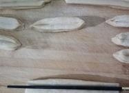 自制小油条，干净健康，特别酥软