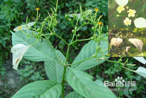 孩子怎么预防扁桃体炎