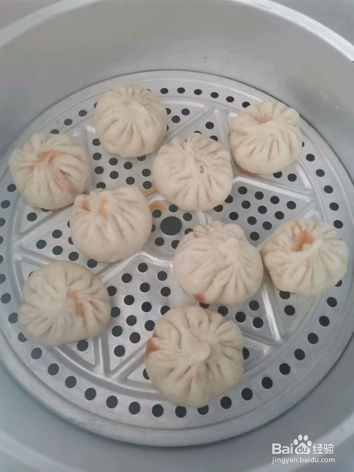 鲜肉包子的做法